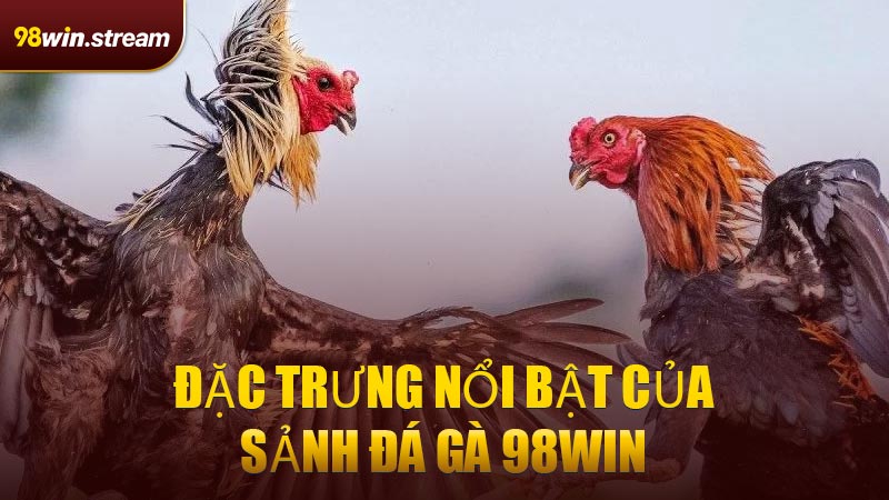 Đặc trưng nổi bật của sảnh Đá Gà 98WIN